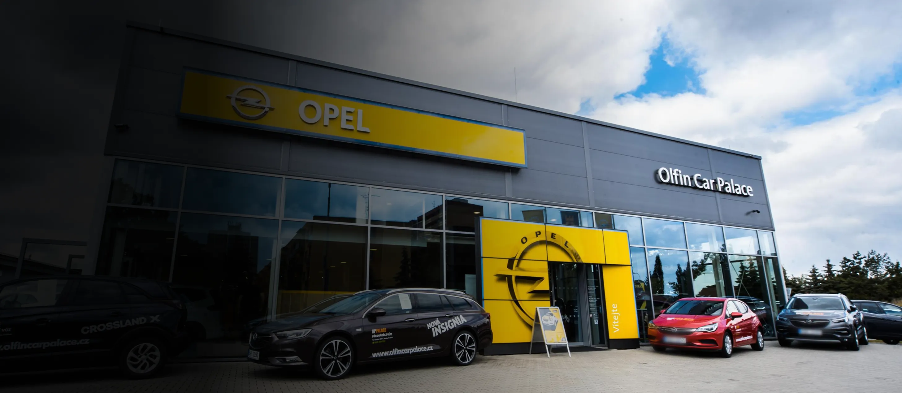 Olfin Car dealership showroom